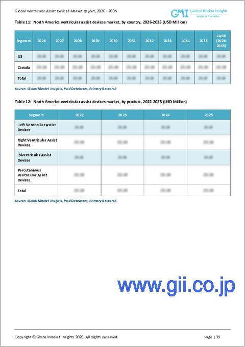 サンプル2:補助人工心臓の市場機会、成長促進要因、産業動向分析、2025年~2034年予測