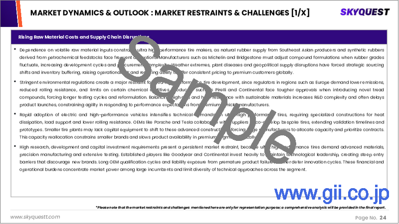 サンプル1:超高性能タイヤの市場規模、シェア、成長分析、車種別、タイヤタイプ別、技術別、地域別-2025-2032年産業予測