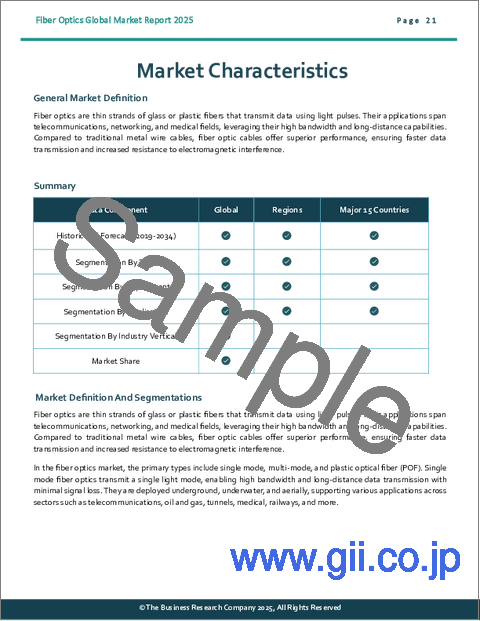 サンプル1：光ファイバーの世界市場レポート 2025年