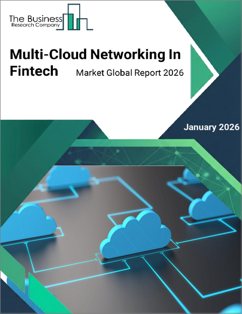 表紙：Fintechにおけるマルチクラウド・ネットワーキングの世界市場レポート 2025年