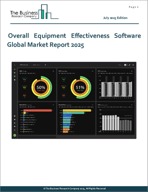 表紙：総合設備効果ソフトウェアの世界市場レポート 2025年