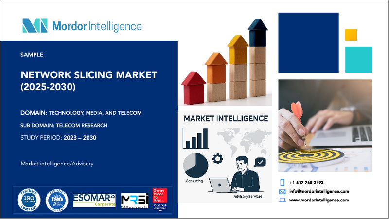 表紙：ネットワークスライシング：市場シェア分析、産業動向、統計、成長予測（2025年～2030年）