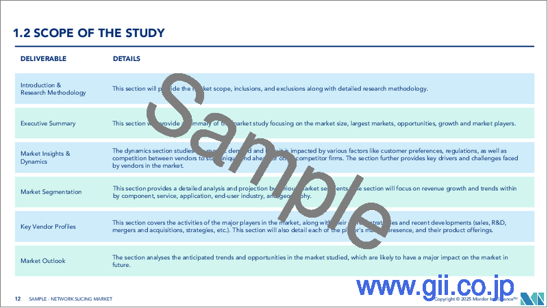 サンプル1：ネットワークスライシング：市場シェア分析、産業動向、統計、成長予測（2025年～2030年）
