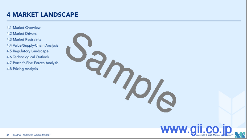 サンプル2：ネットワークスライシング：市場シェア分析、産業動向、統計、成長予測（2025年～2030年）