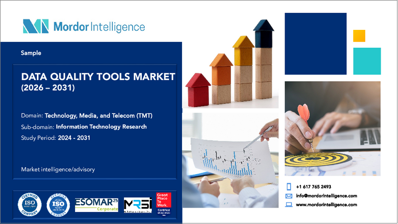 表紙:データ品質ツール:市場シェア分析、産業動向、統計、成長予測(2025年~2030年)