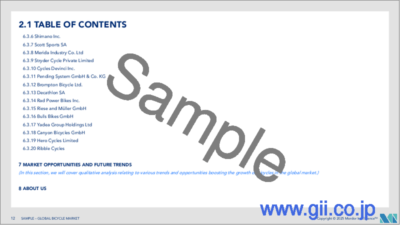 サンプル1：自転車：市場シェア分析、産業動向、統計、成長予測（2025年～2030年）