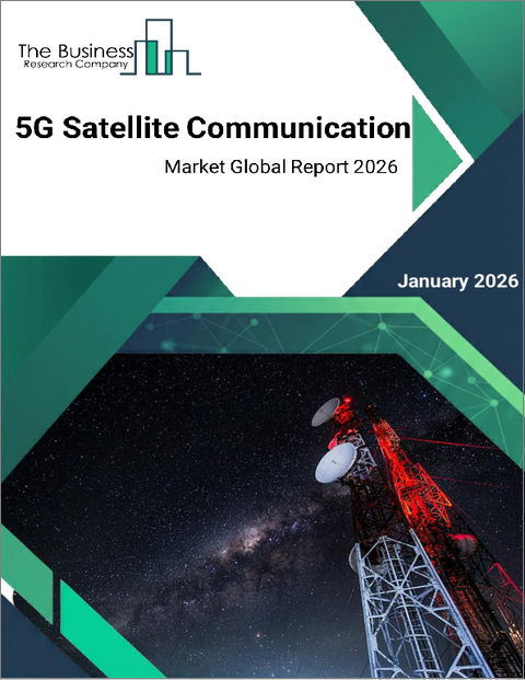 表紙：5G衛星通信の世界市場レポート 2025年
