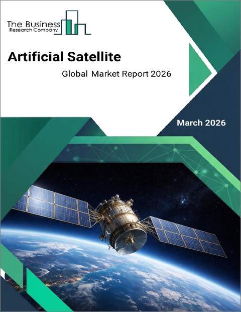 表紙：人工衛星の世界市場レポート 2025年