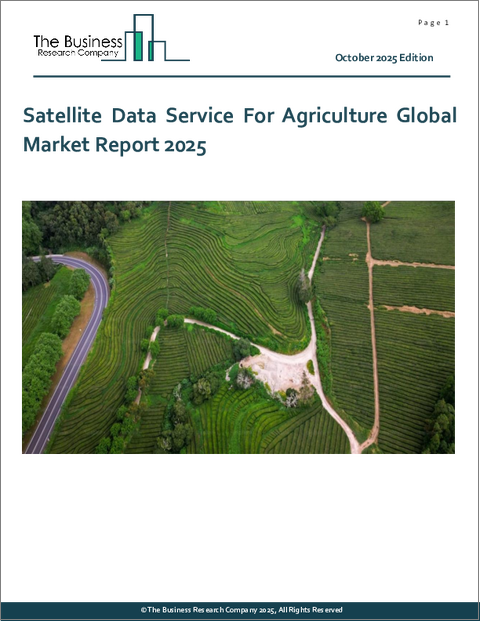表紙：農業向け衛星データサービスの世界市場レポート 2025年