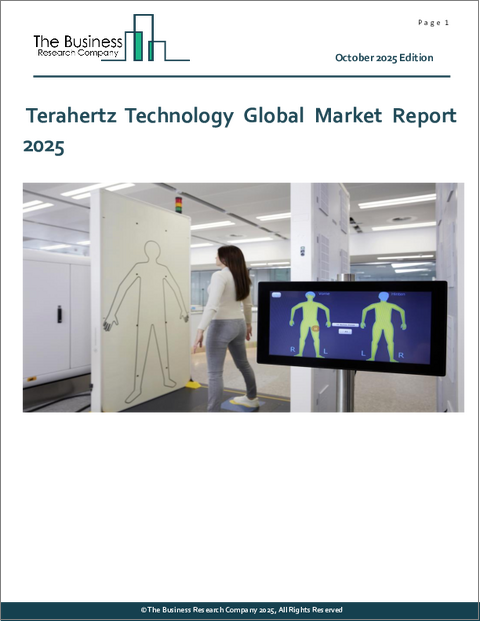 表紙：テラヘルツ技術の世界市場レポート 2025年