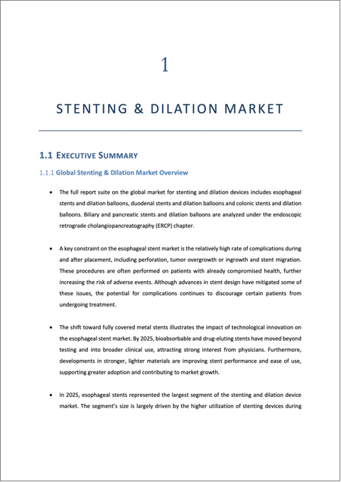 表紙：ステント留置および拡張装置の世界市場：市場規模、シェア、動向分析（2025年～2032年）