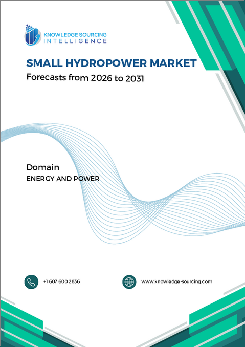 表紙：小水力発電の世界市場 - 2025～2030年の予測