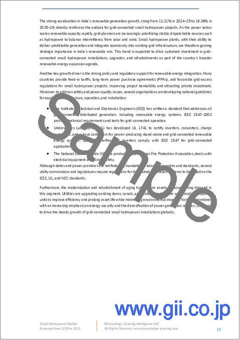 サンプル1：小水力発電の世界市場 - 2025～2030年の予測