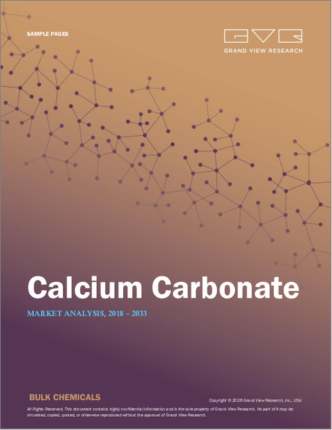 表紙：炭酸カルシウムの市場規模、シェアと動向分析レポート：製品別、用途別、地域別、セグメント別予測（2025年～2033年）