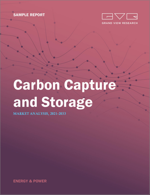 表紙：炭素回収・貯留（CCS）の世界市場：市場規模、シェア、動向分析（回収技術別、用途別、地域別）、セグメント別予測、2025年～2033年