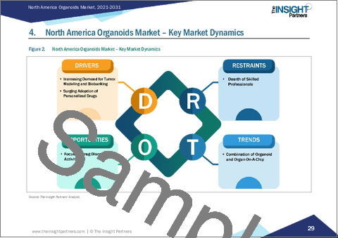 サンプル1：北米オルガノイド市場レポート2021-2031：範囲、セグメンテーション、動向、および競争分析