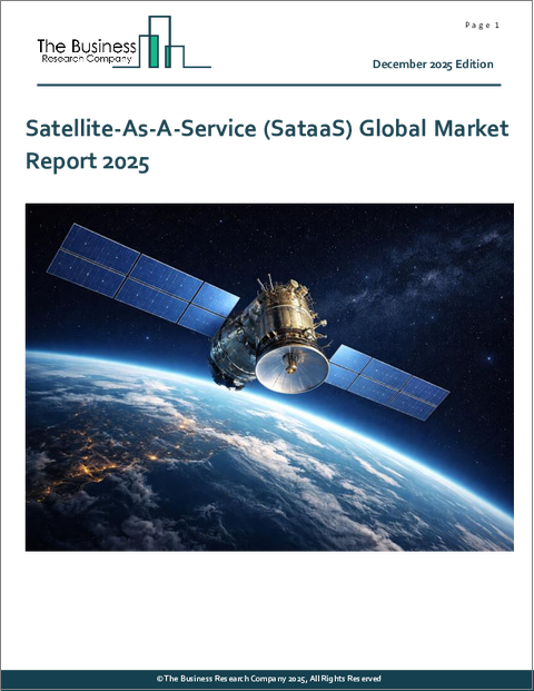 表紙：SataaS（Satellite-as-a-Service）に関する世界市場レポート 2025年