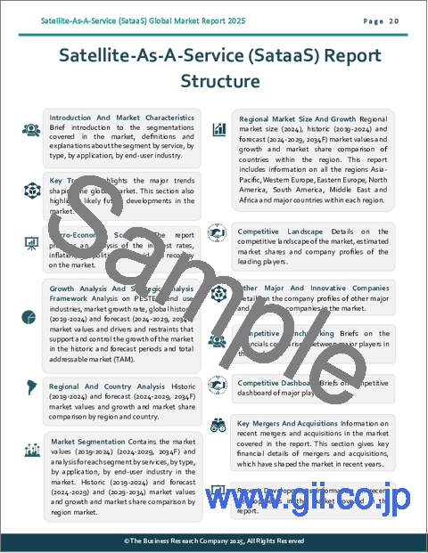 サンプル1：SataaS（Satellite-as-a-Service）に関する世界市場レポート 2025年