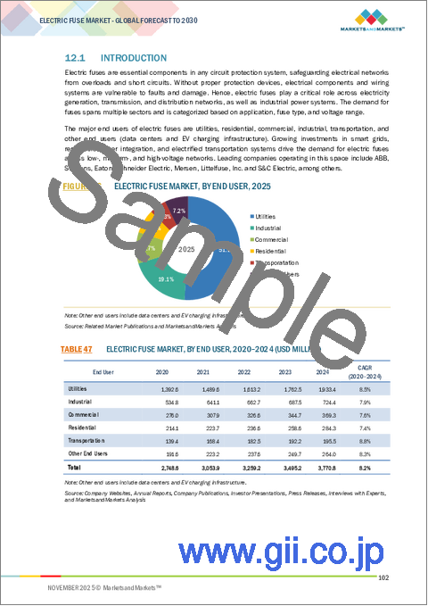 サンプル2：電気ヒューズの世界市場：タイプ別、電流タイプ別、電圧別、エンドユーザー別、地域別 - 2030年までの予測