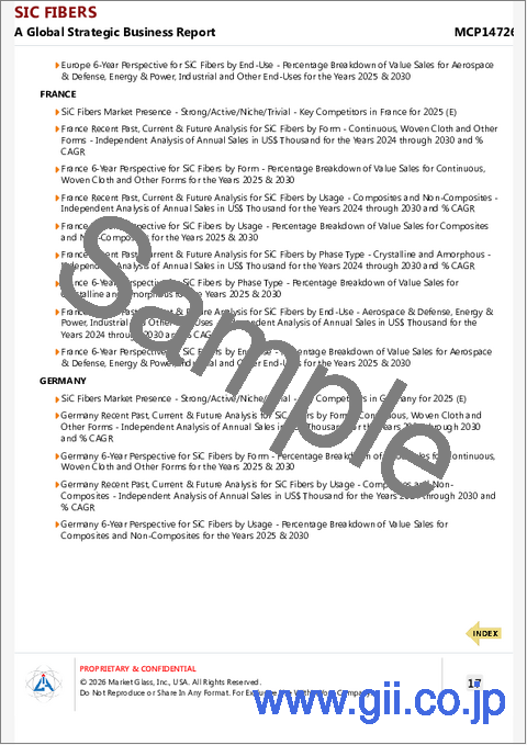 サンプル2：SiCファイバーの世界市場