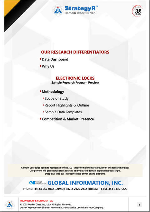 表紙：電子錠の世界市場