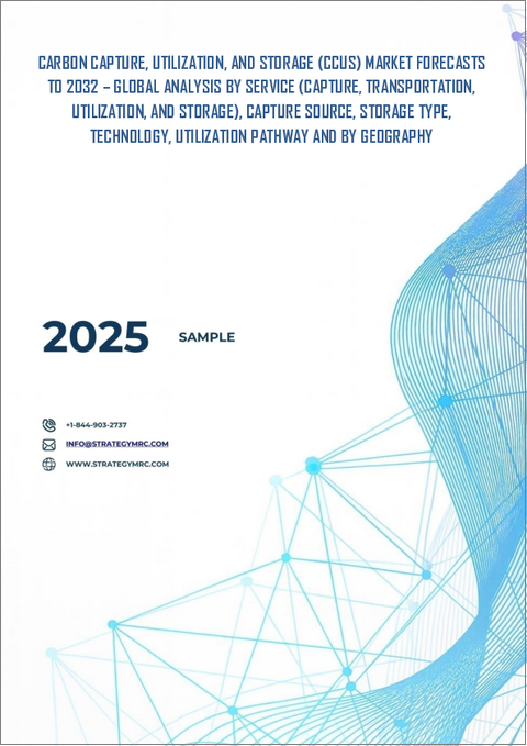 表紙：炭素回収・利用・貯留（CCUS）市場の2032年までの予測： サービス別、回収源別、貯留タイプ別、技術別、利用経路別、地域別の世界分析