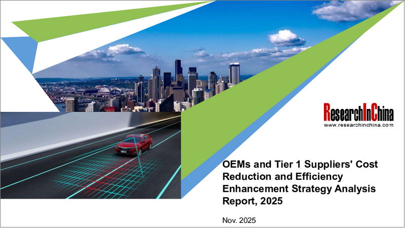 表紙：OEMとTier 1サプライヤーのコスト削減・効率向上戦略の分析（2025年）