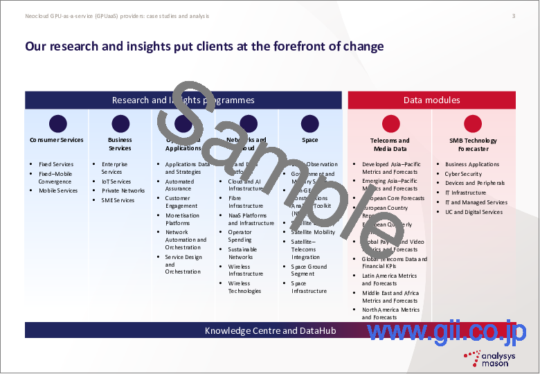 サンプル2：ネオクラウド GPUアズ・ア・サービス（GPUaaS）プロバイダー：事例研究と分析