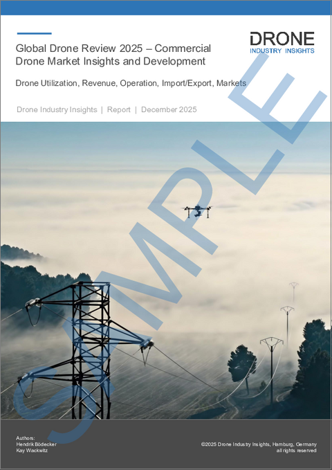 表紙：世界のドローン産業のレビュー（2025年）
