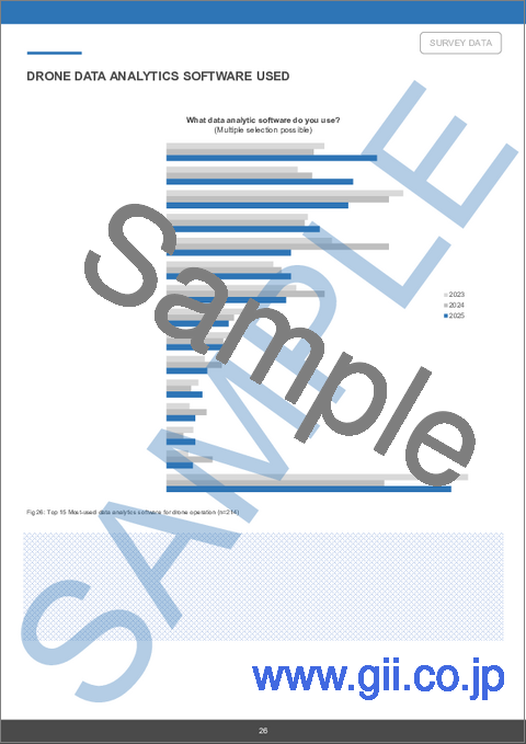 サンプル2：世界のドローン産業のレビュー（2025年）