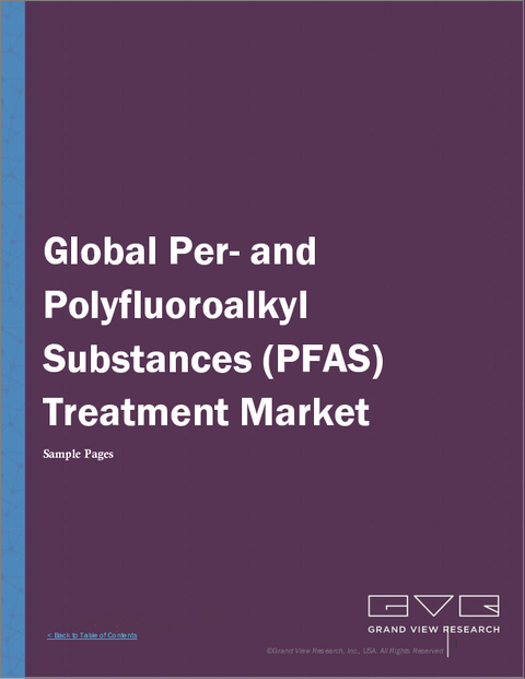 表紙:PFAS処理の世界市場:市場規模・シェア・動向分析 (技術の種類別・最終用途産業別・地域別)、セグメント別予測 (2025年~2033年)
