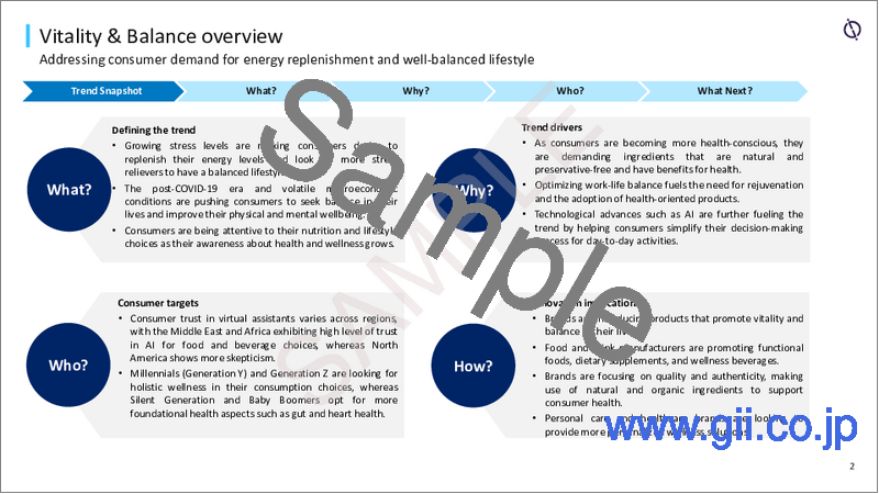 サンプル1：バイタリティ・バランス：TrendSights Analysis（2025年）