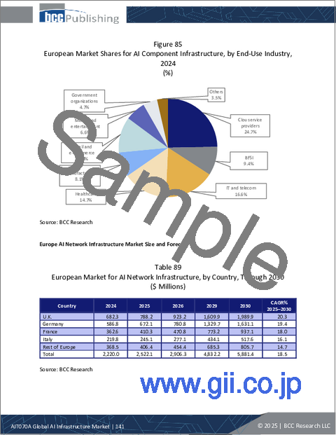 サンプル2：AIインフラの世界市場