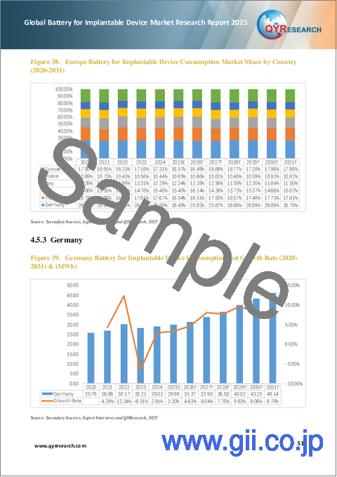 サンプル2：インプランタブルデバイス用バッテリーの世界市場調査レポート、2025年