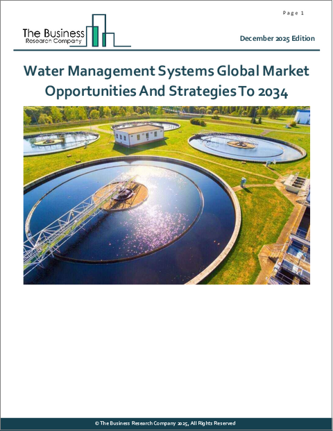 表紙：水管理システムの世界市場：2034年までの機会と戦略