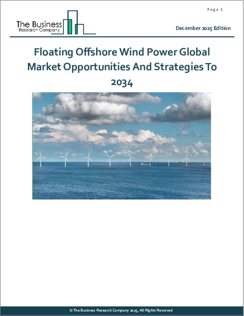 表紙：浮体式洋上風力発電の世界市場：2034年までの機会と戦略