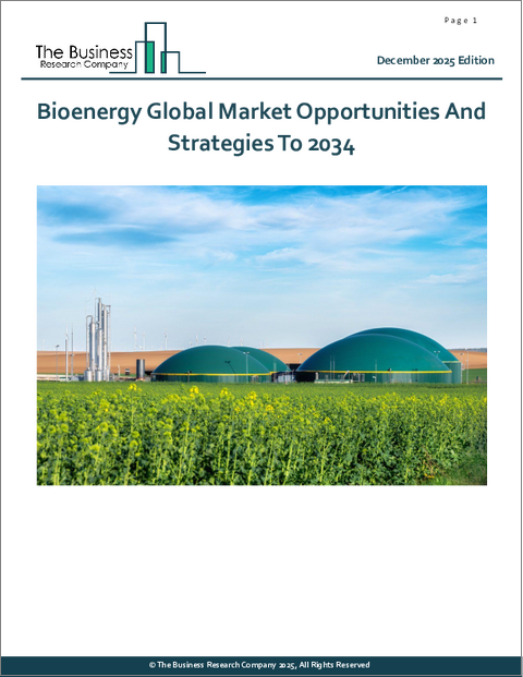 表紙:バイオエネルギーの世界市場:2034年までの機会と戦略