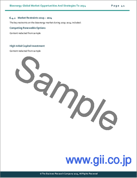 サンプル1:バイオエネルギーの世界市場:2034年までの機会と戦略