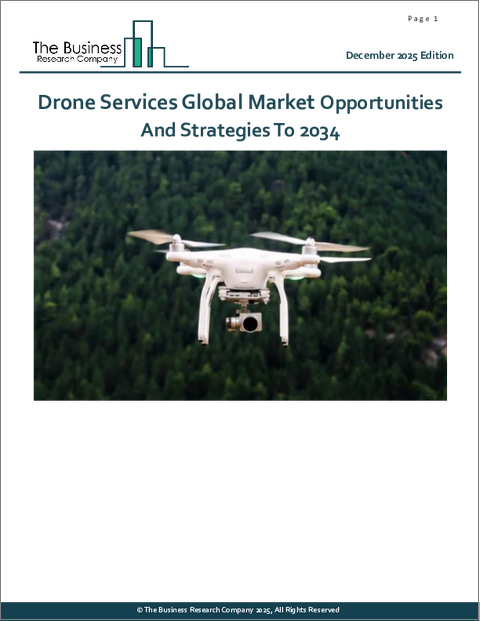 表紙：ドローンサービスの世界市場：2034年までの機会と戦略