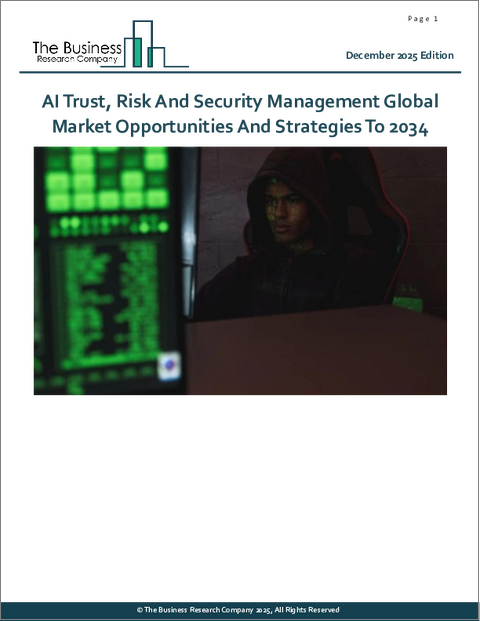 表紙：AIトラスト・リスク・セキュリティ管理（AI TRiSM）の世界市場：2034年までの機会と戦略