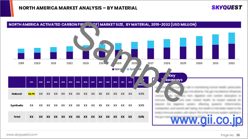 サンプル2：活性炭繊維（ACF）市場規模、シェア、および成長分析：原料別、タイプ別、用途別、エンドユーザー産業別、地域別－業界予測（2026～2033年）
