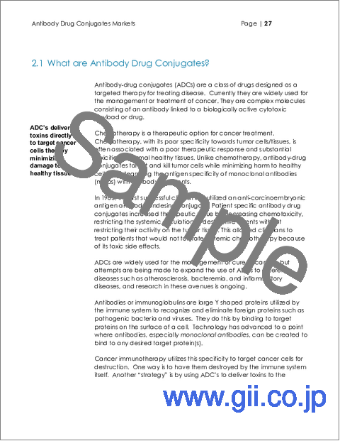 サンプル2:抗体薬物複合体(ADC)市場 - がん別、ペイロード別、標的別、製品別、ユーザー別、国・地域別市場予測(エグゼクティブガイドおよびコンサルタントガイド付き):2026年~2030年