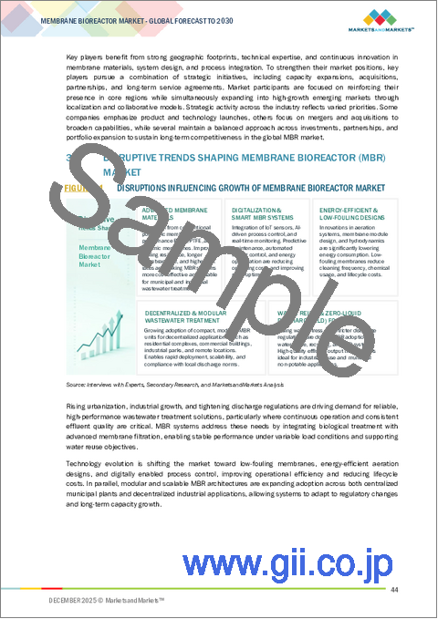 サンプル1：メンブレンバイオリアクターの世界市場：メンブレンタイプ別、システム構成別、容量別、用途別、地域別 - 予測（～2030年）