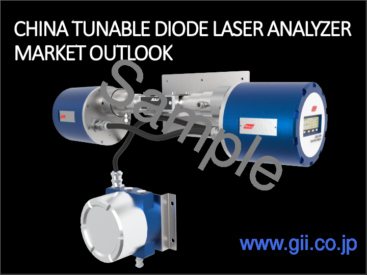 サンプル2：チューナブルダイオードレーザー分析装置市場- 世界の産業規模、シェア、動向、機会、および予測：用途別、業界別、地域別、競争、2021年～2031年