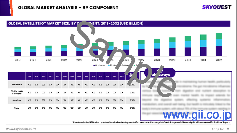 サンプル2：衛星IoT市場の規模、シェア、成長分析：サービスタイプ別、組織規模別、業界別、地域別－業界予測（2026-2033年）
