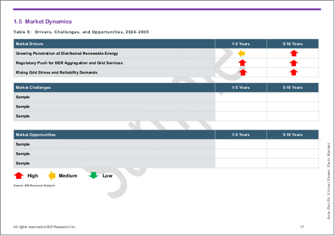 サンプル2：アジア太平洋地域のVPP (仮想発電所) 市場：用途・製品・国別の分析・予測 (2025-2035年)
