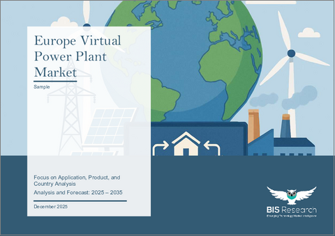 表紙：欧州の仮想発電所市場：エンドユーザー別、技術別、エネルギー源別、国別 - 分析と予測（2025年～2035年）