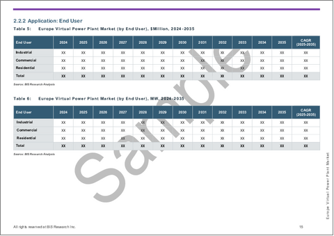 サンプル2：欧州の仮想発電所市場：エンドユーザー別、技術別、エネルギー源別、国別 - 分析と予測（2025年～2035年）