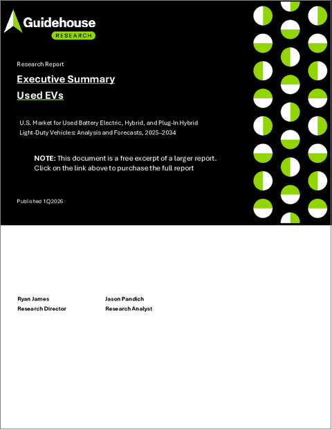 表紙:中古電気自動車市場