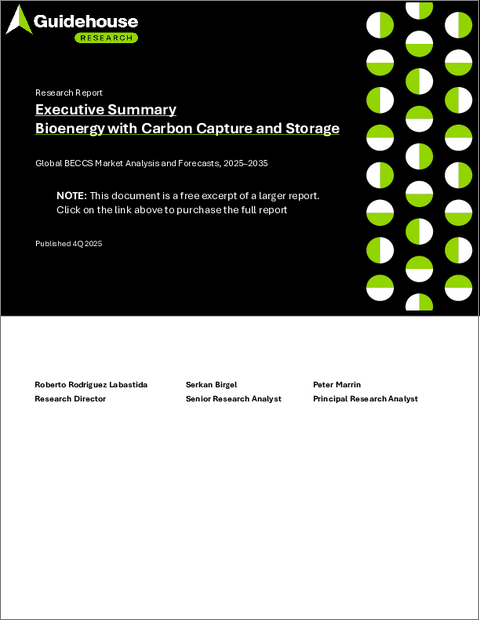 表紙：バイオエネルギーと二酸化炭素回収・貯留技術